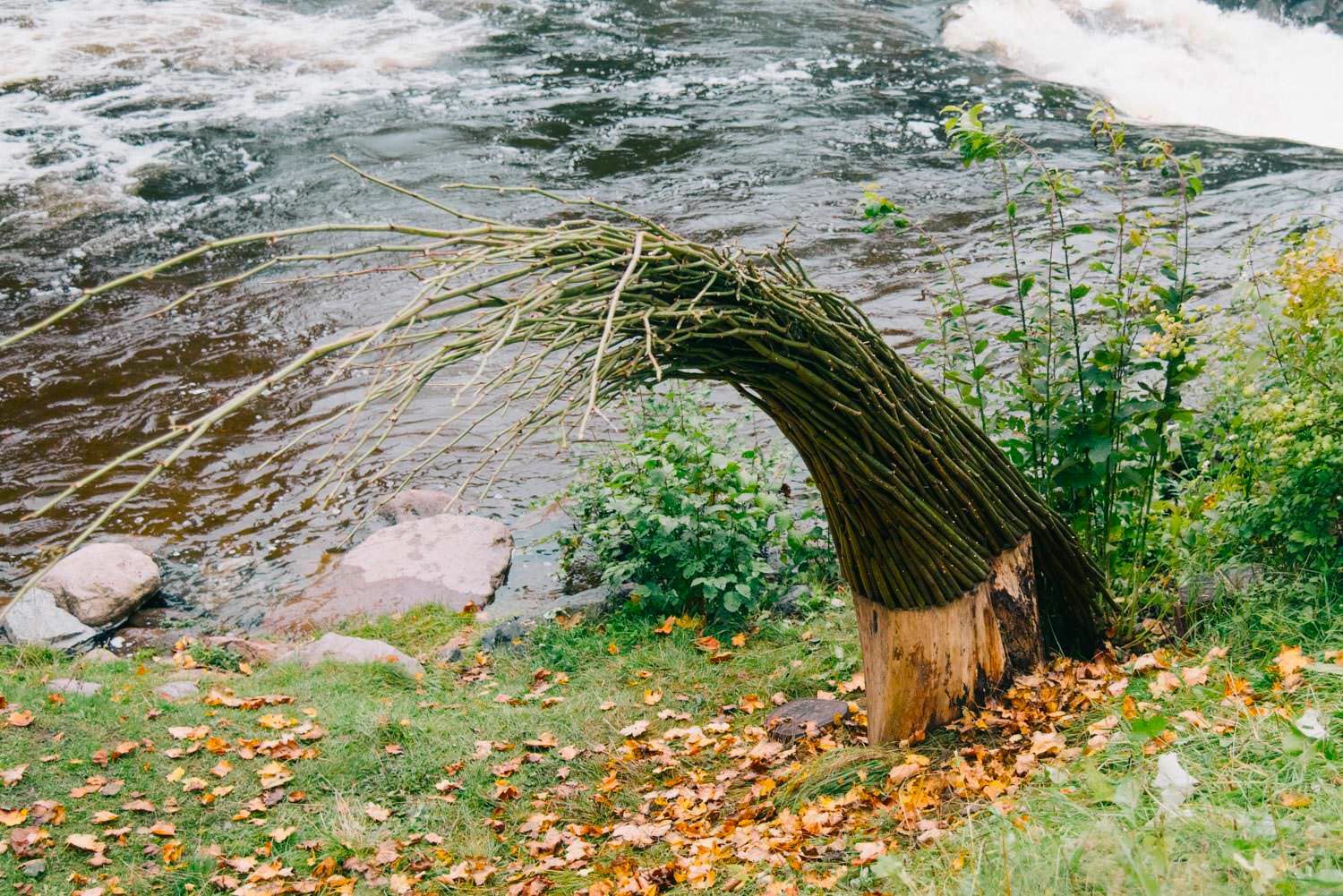 blog_1_landart.jpg blog_1_landart.jpg