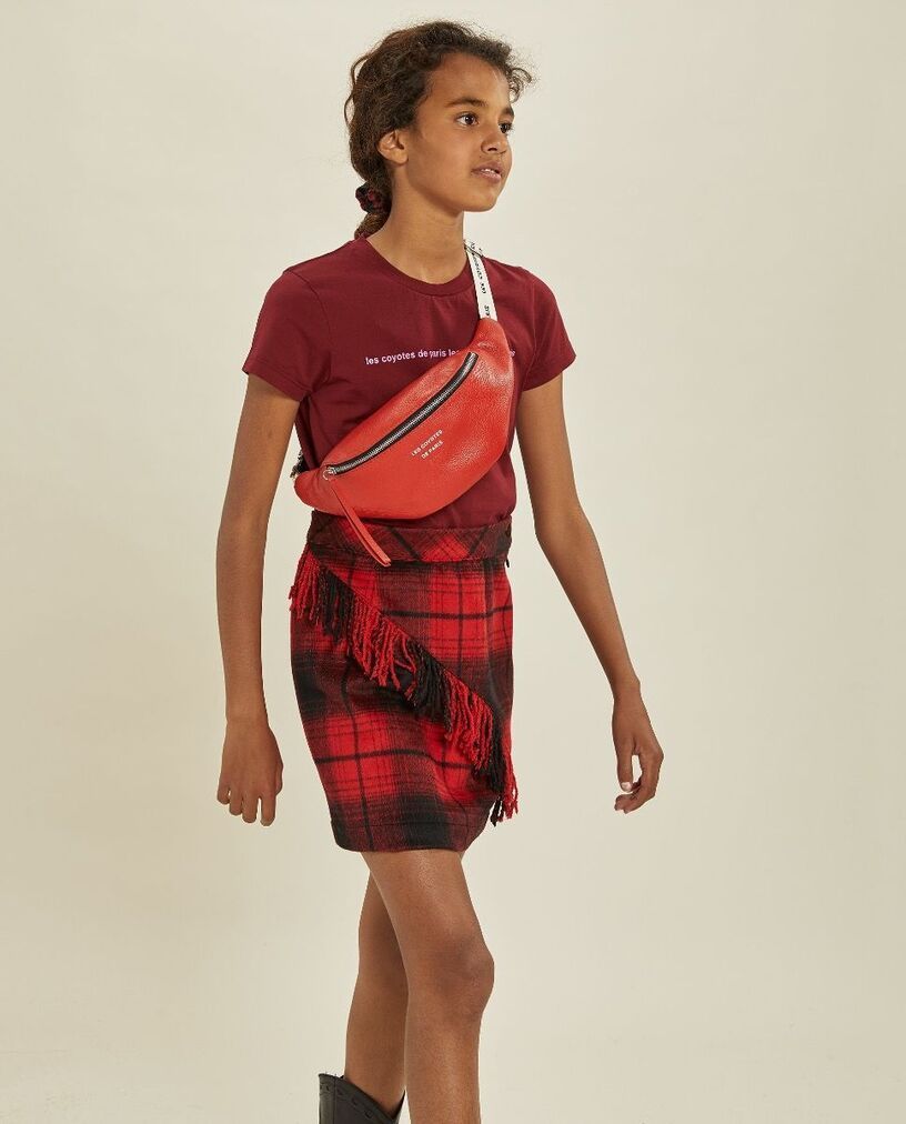 Noelle Skirt Tartan Check, Les coyotes de Paris/1