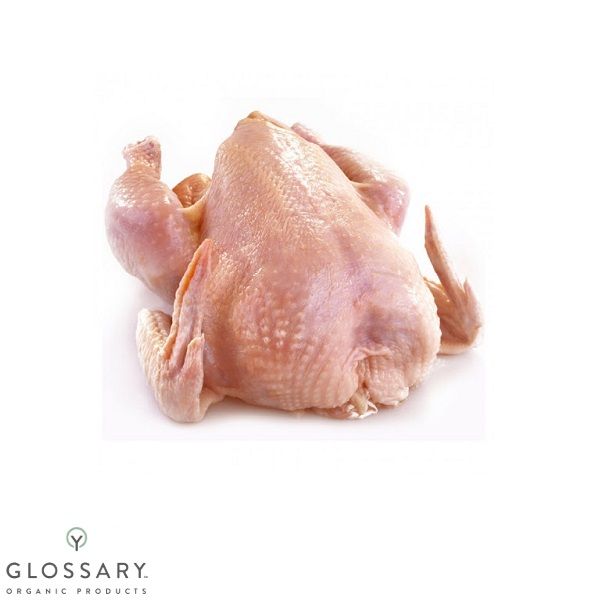 Цыпленок английской породы кур Redbro в тушках Карашинське подвір'я,