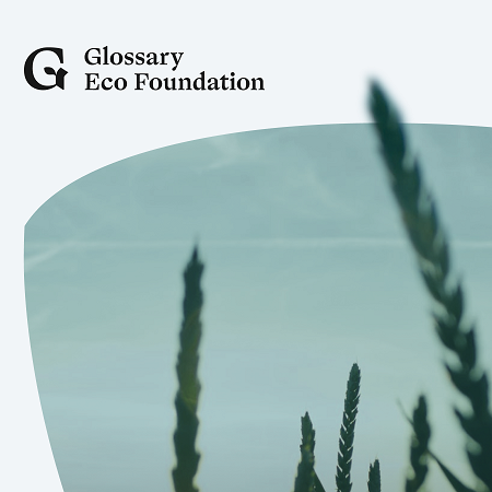 Glossary Eco Foundation