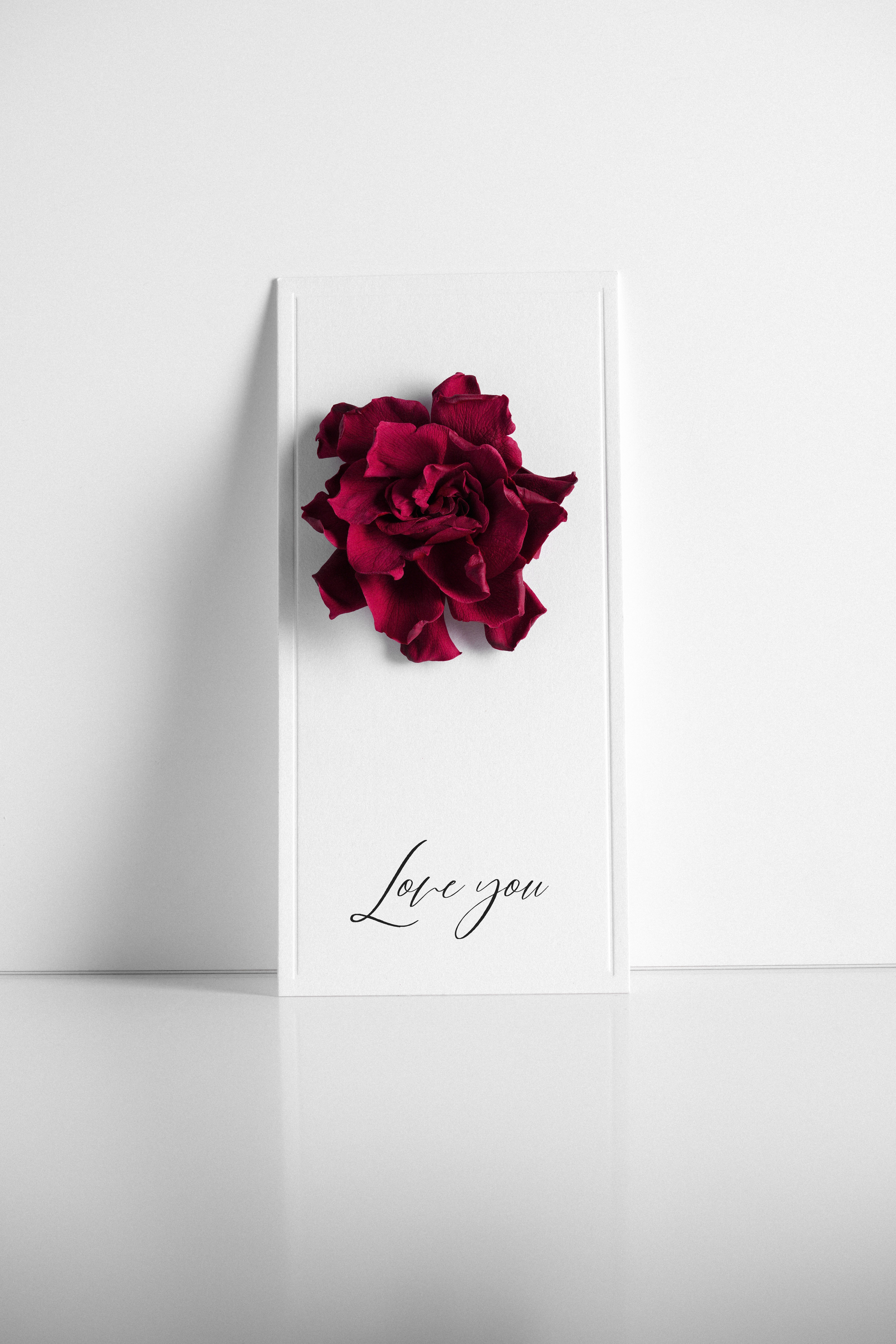 Праздничная упаковка Glossary/1