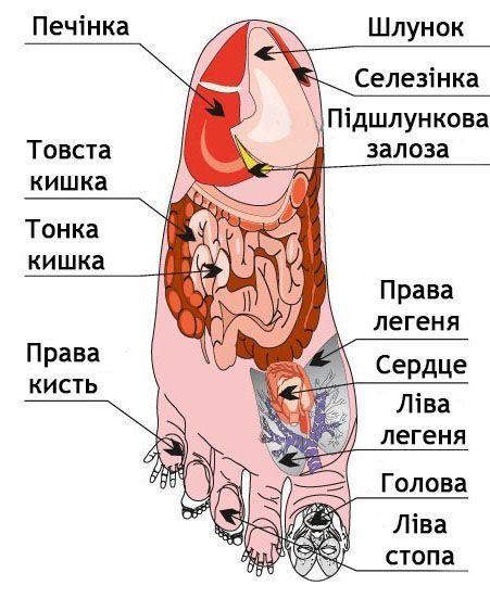 Стельки плюс 43-46 р 5,0 Ag, Lyapko/1