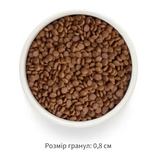Сухий беззерновий корм для дорослих котів Grandorf FRESH DUCK & SWEET POTATO ADULT CATз качкою та бататом/1