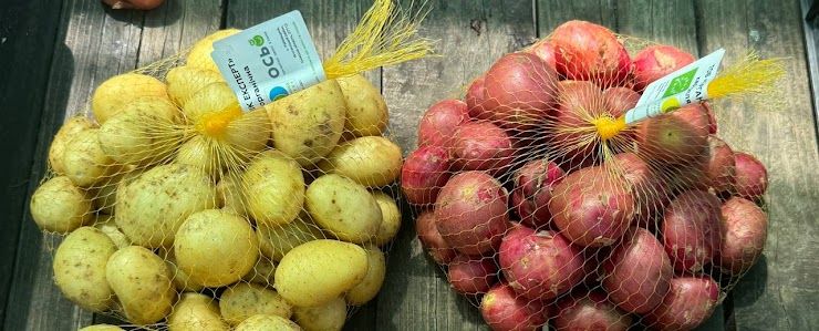 Картопля бейбі органічна ОСЬО-органік, 
