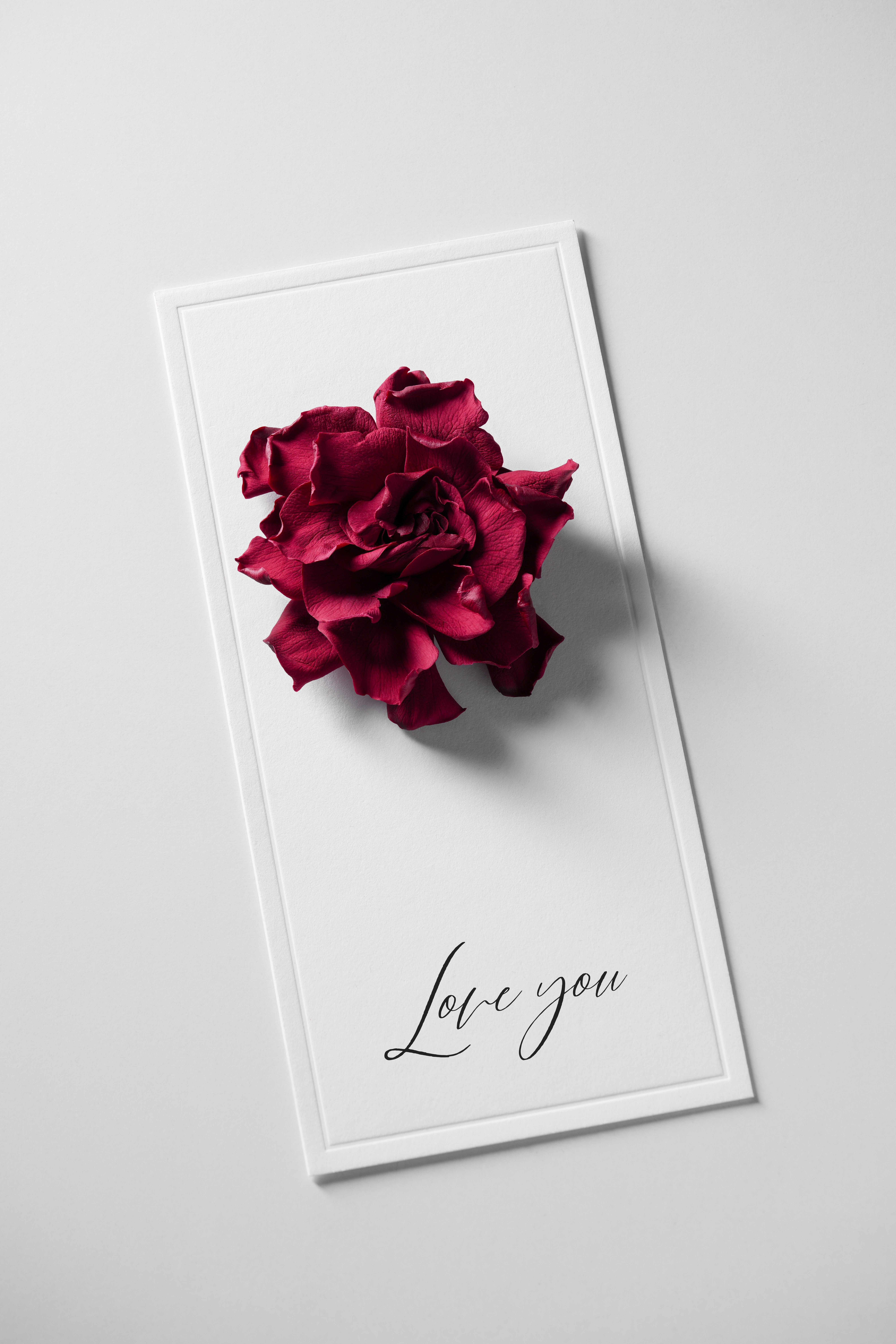 Праздничная упаковка Glossary/2