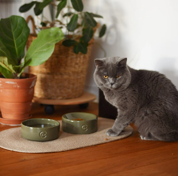 Керамическая миска со сферическим дном Bowl Olive, Harley and Cho/1
