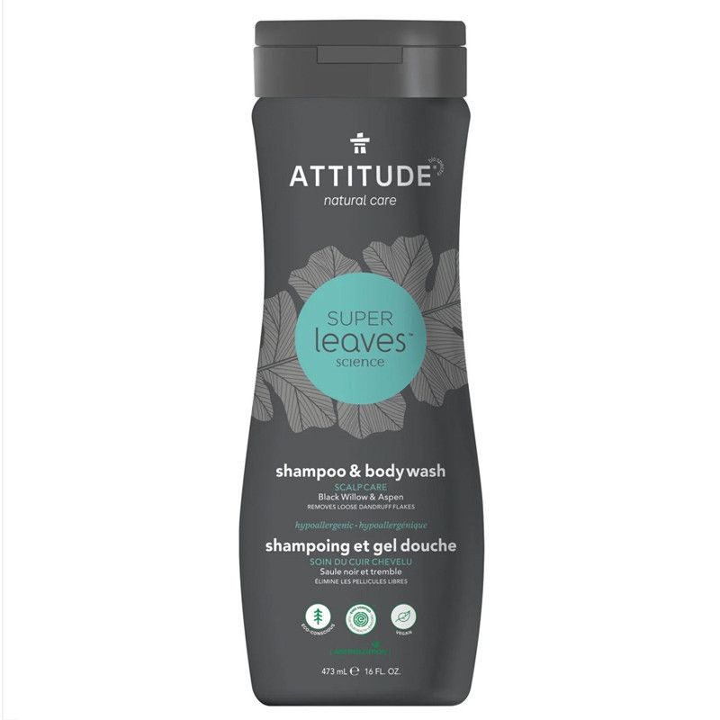Шампунь-гель для тела 2 в 1 "Scalp Care" для мужчин Attitude 