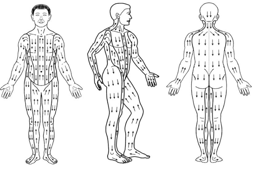 Валик большой М 5,0 Ag, Lyapko/1