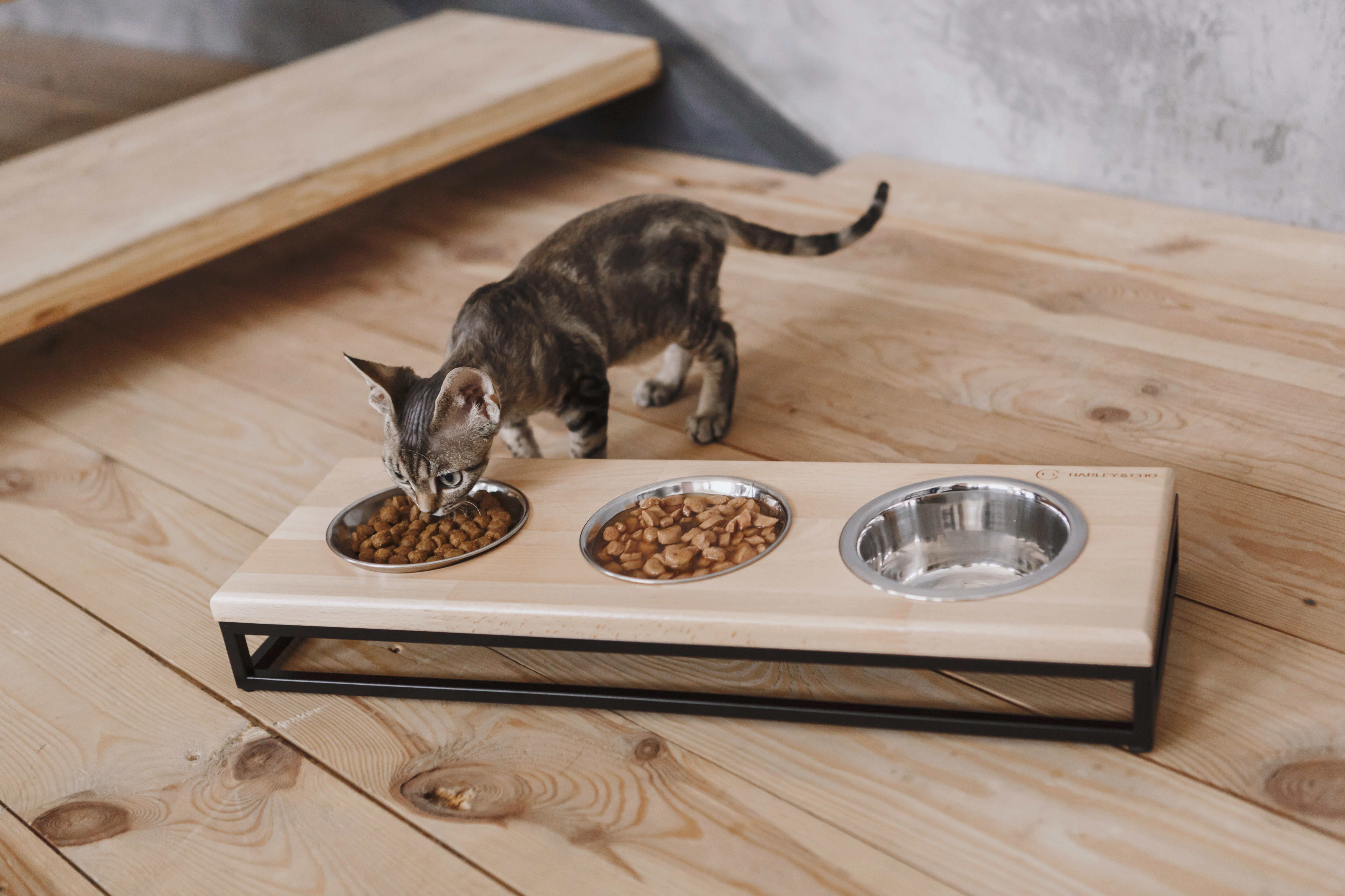 Три миски на підставці Lunch Bar Natural wood + Black, Harley and Cho/2