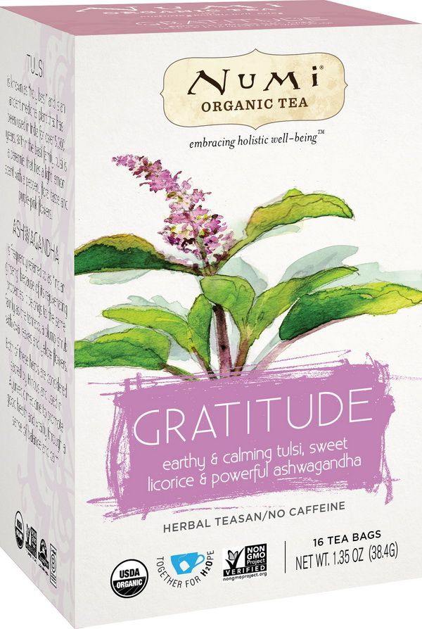 Holistic_GRATITUDE_3D_HR.jpg Holistic_GRATITUDE_3D_HR.jpg