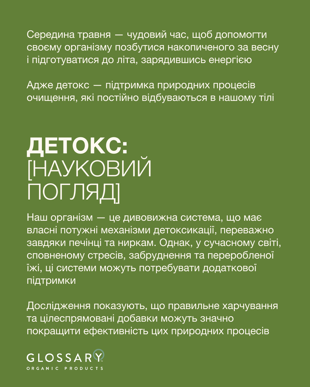 топ2.png