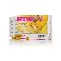 CellNam® (ЦеллНам), NAMED магазин Glossary 