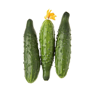 Огурцы органические Organic Terra,  магазин Glossary 