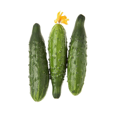 Огурцы органические Organic Terra,  магазин Glossary 