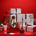 Любов у кожному боксі: найкращі набори для найдорожчих від Glossary