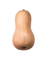 Тыква Батернат магазин Glossary 