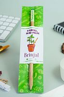 Растущий карандаш Brinjal,  магазин Glossary 