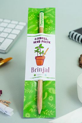 Растущий карандаш Brinjal,  магазин Glossary 