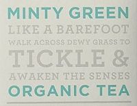 Органический зеленый чай с мятой Numi Care пакетированный магазин Glossary 
