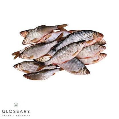 Свежая рыба "Улов дня" Zabirya Organic Farm, магазин Glossary 