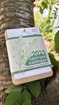 Цветущий календарь 2025 год Brinjal,  магазин Glossary 