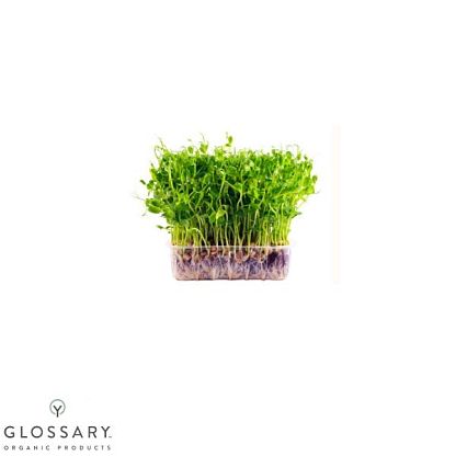 Набор для самостоятельного выращивания микрогрин (на 10 лотков) Карашинське подвір'я, магазин Glossary 