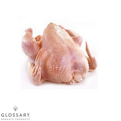 Цыпленок английской породы кур Redbro в тушках Карашинське подвір'я, магазин Glossary 