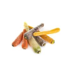 Цветная морковь органическая, СвітОвоч магазин Glossary 