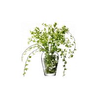 Ваза для цветов прозрачная 25см Flower, LSA international магазин Glossary 