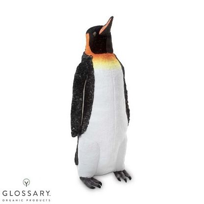 Императорский пингвин  магазин Glossary 