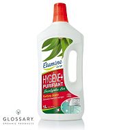 Средство HYGIENE + для мытья и дезинфицирования поверхностей магазин Glossary 