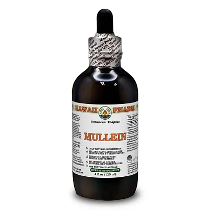 Mullein Organic Alcohol-FREE / Коровяк органик без спирта для органов дыхания Hawaii Pharm магазин Glossary 