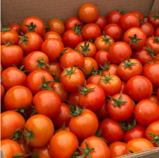 Томаты черри Organic Terra,  магазин Glossary 