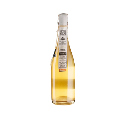 Игристое белое Нон-дозаж Pecorino Cantina Orsogna 0,75 л магазин Glossary 