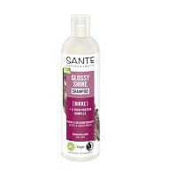 БИО-шампунь Sante GLOSSY SHINE для блеска волос с протеиновым комплексом и березовыми листьями магазин Glossary 