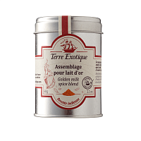 Смесь специй «Золотое молоко» с куркумой и имберем Terre Exotique, магазин Glossary 