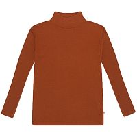 Turtle neck warm hazel Repose AMS,  магазин Glossary 