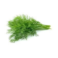 Укроп органический ОСЬО-органик,  магазин Glossary 