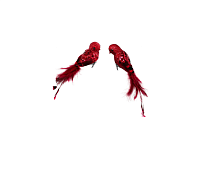 Новогоднее украшение Птичка с красными перьями 26см, Shishi магазин Glossary 