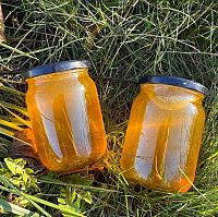 Мед с липы органический ОСЬО-органик,  магазин Glossary 