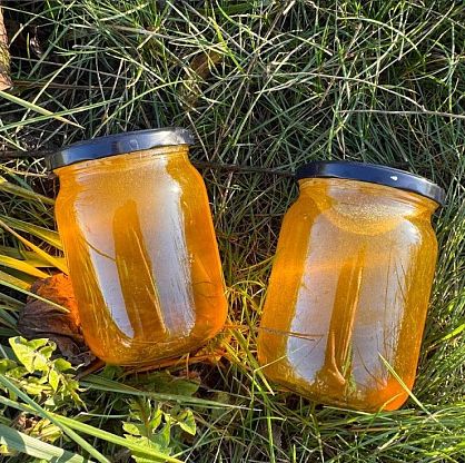 Мед с липы органический ОСЬО-органик,  магазин Glossary 