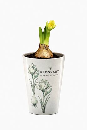 Фарфоровая чашка Glossary с нарциссом магазин Glossary 