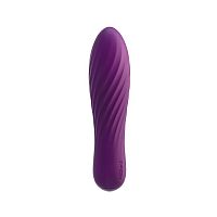 Мощный минивибратор Svakom Tulip Violet магазин Glossary 
