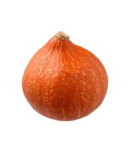 Тыква Хокайдо магазин Glossary 