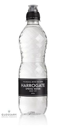 Вода питьевая родниковая негазированная Harrogate ПЕТ (спорт-кап) магазин Glossary 