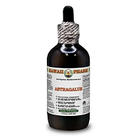 Astragalus Alcohol-FREE / Астрагал экстракт без спирта Hawaii Pharm магазин Glossary 