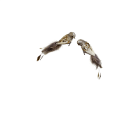 Новогоднее украшение Птичка с серыми перьями 26см, Shishi магазин Glossary 