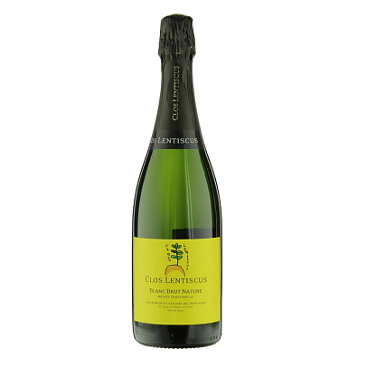 Вино Блан Брют Натюр / Blanc Brut Nature виноградное натуральное игристое белое брют-натюр Clos Lentiscus,  магазин Glossary 