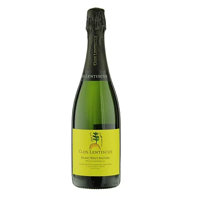 Вино Блан Брют Натюр / Blanc Brut Nature виноградное натуральное игристое белое брют-натюр Clos Lentiscus,  магазин Glossary 
