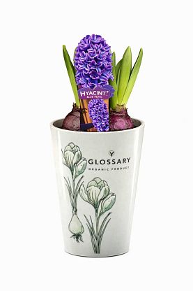 Фарфоровая чашка Glossary с гиацинтом магазин Glossary 